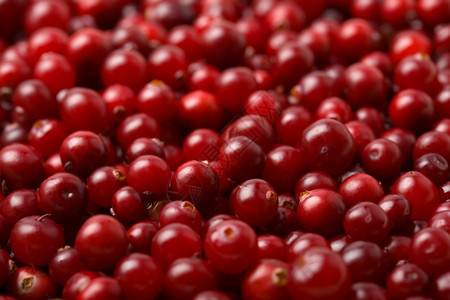 红蓝莓背景图片素材