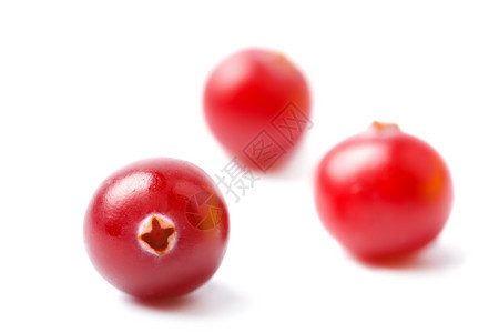 与世隔绝的熟红莓图片