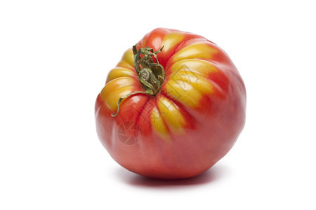 白色背景的番茄单蛋图片