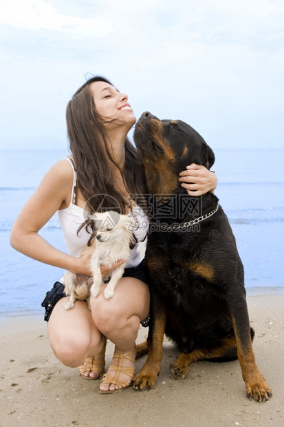 年轻女孩和她的两只狗在海滩上图片