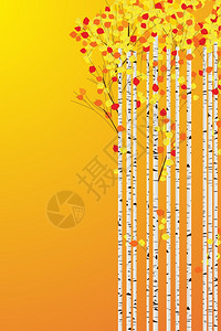 Birch森林秋季背景装饰卡有文字空间图片