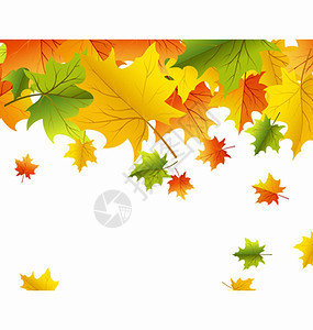 叶子背景的秋映像矢量图解图片