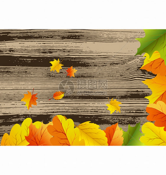 叶子背景的秋映像矢量图解图片