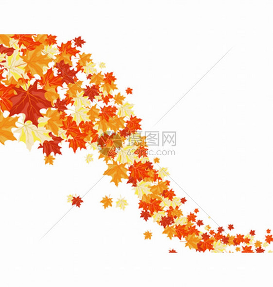 叶子背景的秋映像矢量图解图片