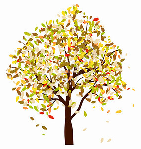 秋橡树和落叶矢量说明图片