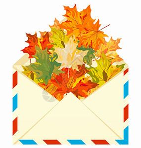 秋天信封里装满了枫叶矢量图图片