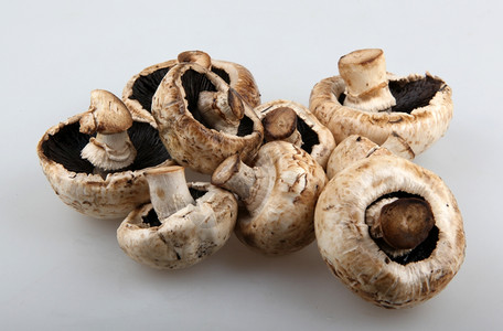 蘑菇香肠图片