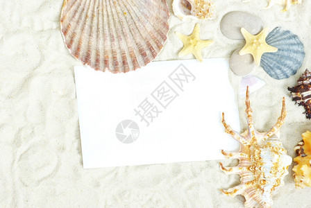 海星和在沙滩上弹出一张空白明信片背景图片