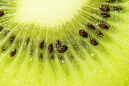新鲜kiwi的宏观照片图片