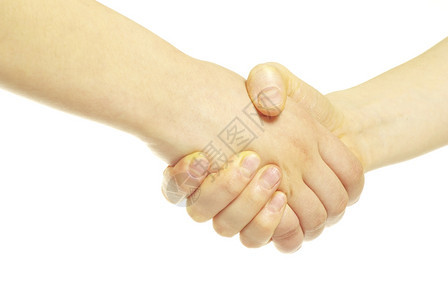 两人紧握着手双在白色上与世隔绝图片