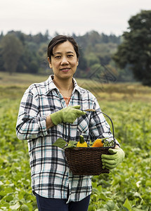 成熟妇女站在豆田里一篮子蔬菜背景有树木和天空图片