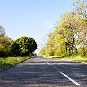 夏季上午乡村公路图片