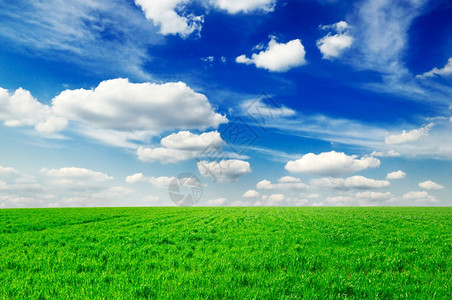 绿地蓝天空白云图片