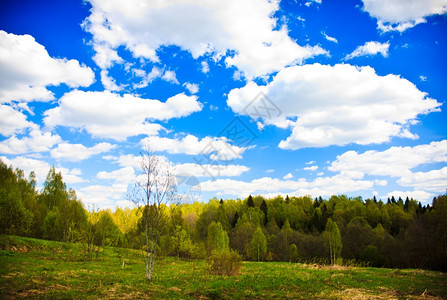 春林和蓝天空白云图片