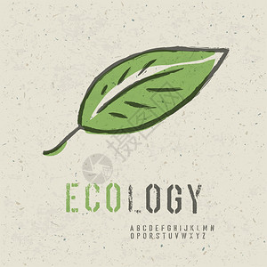 生态概念收集包括绿叶图像无缝再利用纸质以观察色调盘和线字母表的形式矢量EPS10图片