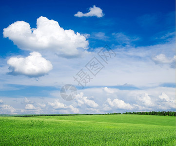 绿地和蓝天空图片