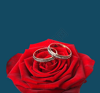 结婚戒指和红玫瑰图片
