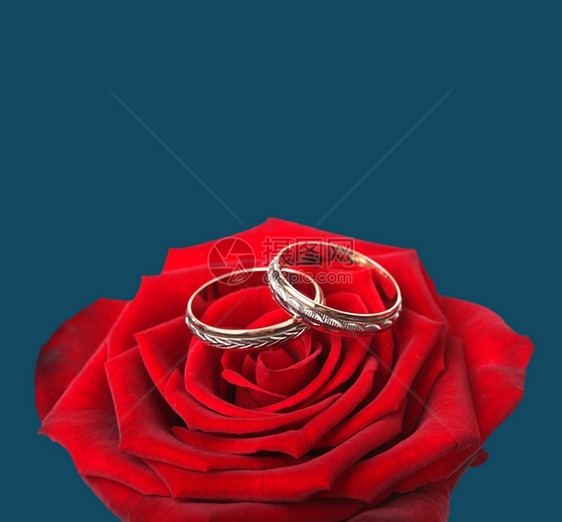 结婚戒指和红玫瑰图片