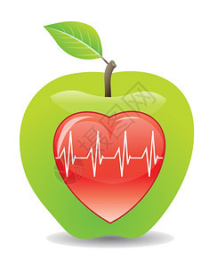 健康心脏绿苹果矢量图图片