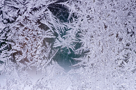冬季窗口上的霜自然形态图片