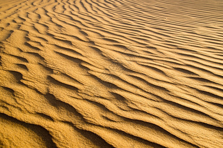金色沙漠中的质图片