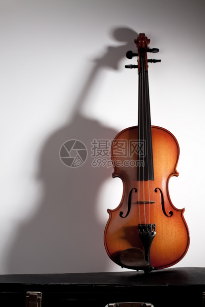 Violin软影子和复制空间的violin图片