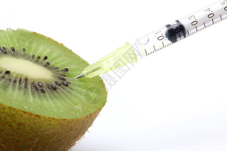 Kiwi注射器的遗传食品工程概念图片