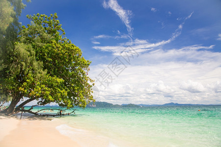 泰国TrangAndaman海的美丽热带白色沙滩图片
