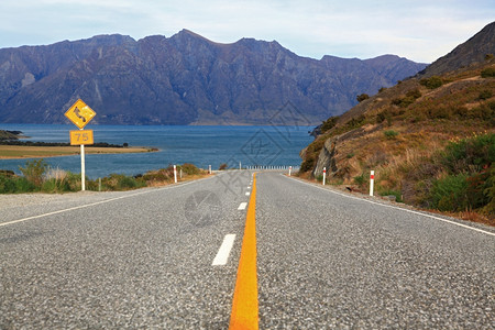 通往新西兰瓦纳卡哈韦亚湖的高速公路的视角图片