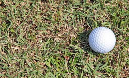 绿光粗野上高尔夫球图片