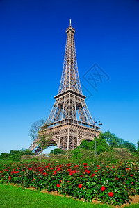 埃菲尔铁塔和公园在阳光明媚的夏日带玫瑰在法国巴黎图片