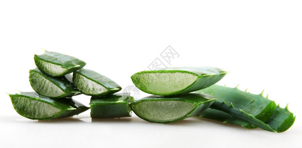 Aloevera工厂图片