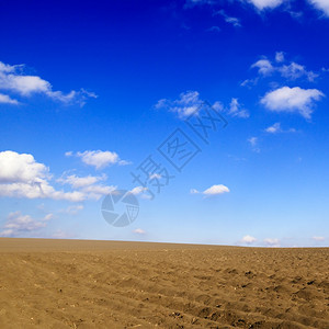 田地和蓝的天空图片