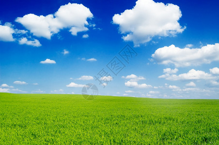 绿地和美丽的蓝天空图片