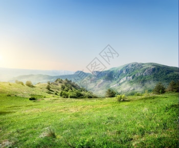 克里米亚山脉背景的绿草地图片