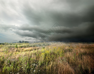 黑暗的暴风雨在草地上云雾图片