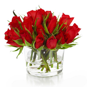 红玫瑰海报白色的花瓶里美丽红玫瑰背景