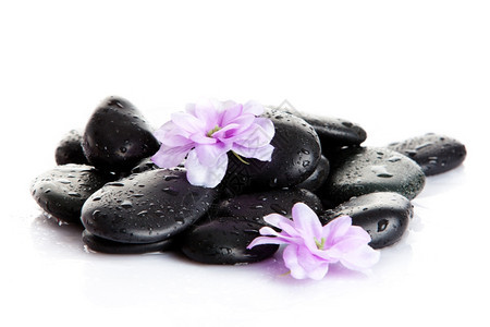 白孤立的斯巴石头和紫花用水滴的石头花朵图片