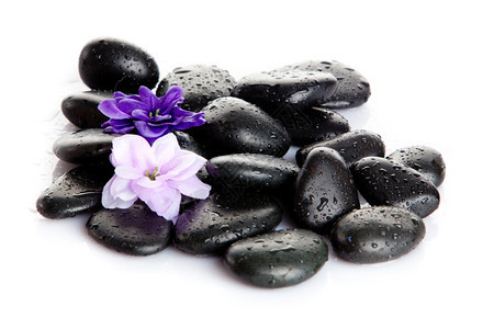 白孤立的斯巴石头和紫花用水滴的石头花朵图片