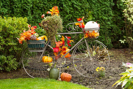 倒着叶子南瓜和其他各种秋天物体的旧固定自行车横向照片底有绿树图片