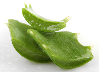 AloeVera白孤立植物图片