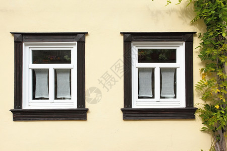 德国有常春藤的旧房子窗图片
