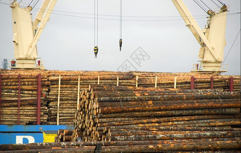 木制品出口运输图片