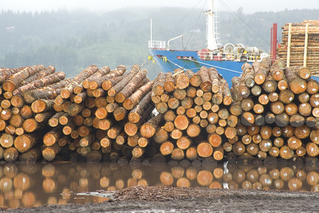 木材产品出口运输图片