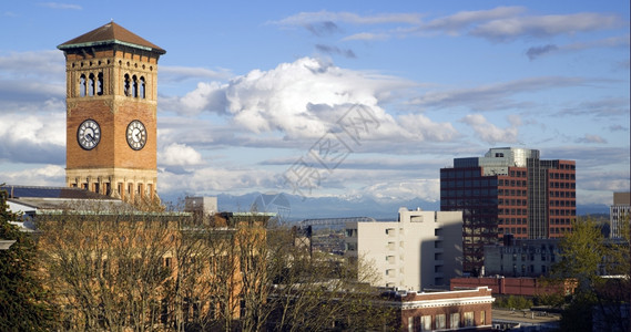 旧市政厅大楼和塔科马华盛顿天际线美国兰尼埃山隐蔽图片