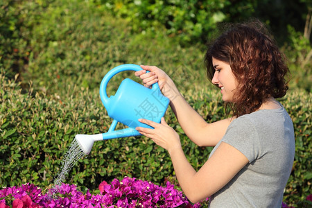 美丽的女士在花园里用水罐子浇花图片