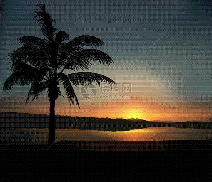 热带日落棕榈树剪影图片