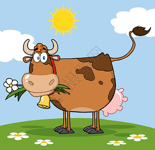 草地上的棕奶牛和鲜花图片
