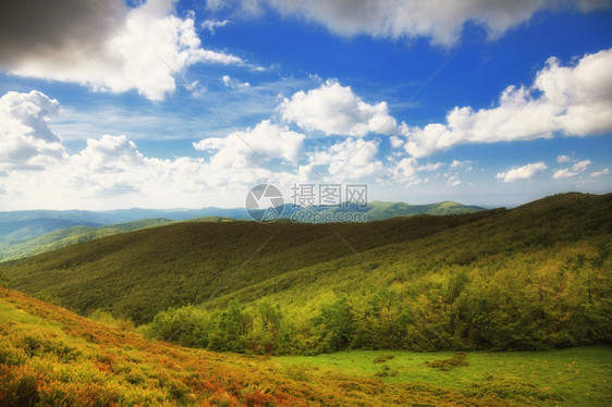 山中美丽的夏日风景蓝天空云布兹扎迪波兰图片