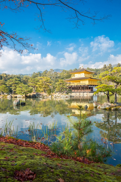 京都金殿寺图片